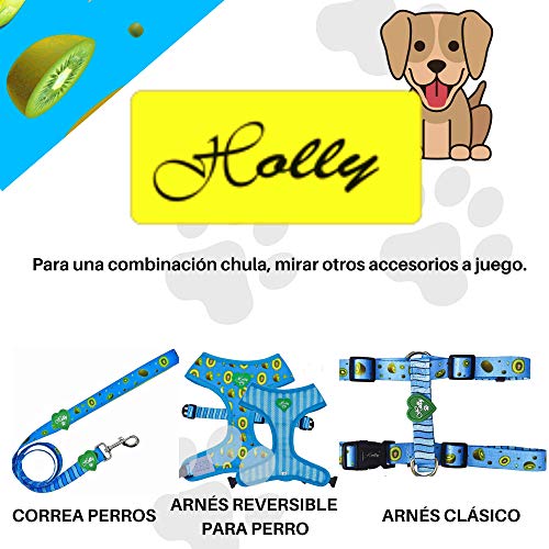 Holly Mascotas | Arnés clásico Premium para Perros Pequeños Medianos y Grandes Ajustable, Elegante, arnés de Perro con Poliéster Ecológico Azul (Blue Kiwi S)