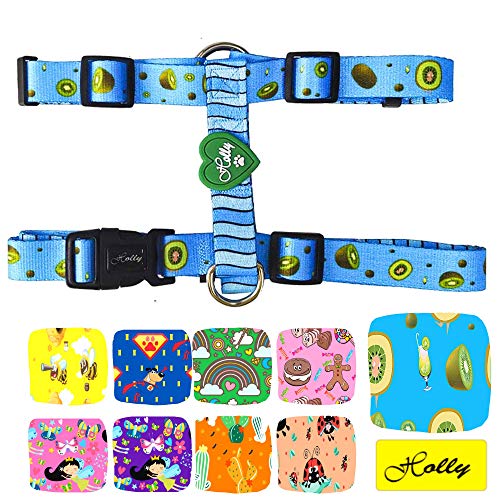 Holly Mascotas | Arnés clásico Premium para Perros Pequeños Medianos y Grandes Ajustable, Elegante, arnés de Perro con Poliéster Ecológico Azul (Blue Kiwi S)