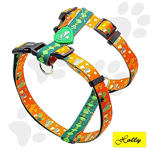 Holly Mascotas | Arnés clásico Premium para Perros Pequeños Medianos y Grandes, Ajustable, Elegante, arnés de Perro con Poliéster Ecológico Naranja (Floppy Dexter S)