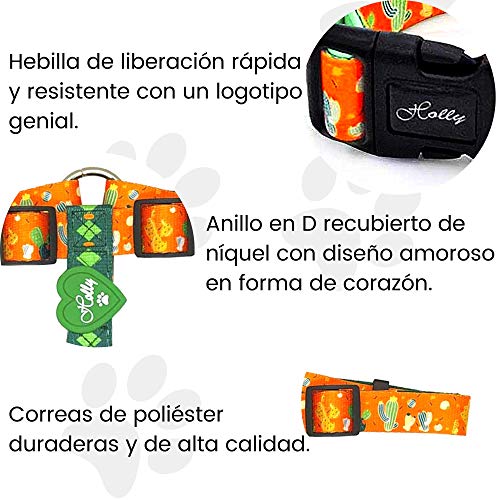 Holly Mascotas | Arnés clásico Premium para Perros Pequeños Medianos y Grandes, Ajustable, Elegante, arnés de Perro con Poliéster Ecológico Naranja (Floppy Dexter S)