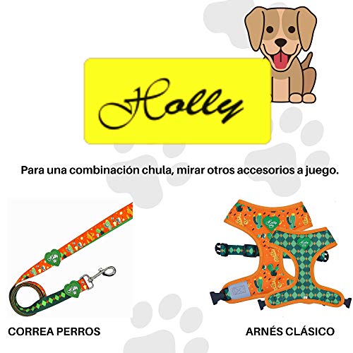 Holly Mascotas | Arnés clásico Premium para Perros Pequeños Medianos y Grandes, Ajustable, Elegante, arnés de Perro con Poliéster Ecológico Naranja (Floppy Dexter S)