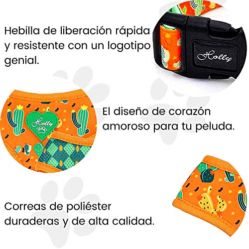 Holly Mascotas Arnés de Chaleco de Perro Pequeño Mediano Reversible, arnés Acolchado de Malla Suave Ligero, Transpirable y rápido Antitirones para Todos los Tiempos Naranja