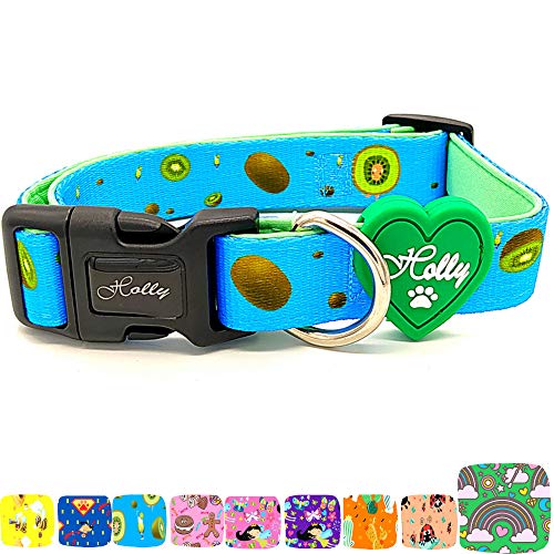 Holly Mascotas Collar de Perro Acolchado, Suave Acogedor, Collar Transpirable para Perros pequeños/medianos/Grandes, Collares Ligeros de Entrenamiento al Aire Libre Hechos en España Gran Acabado.