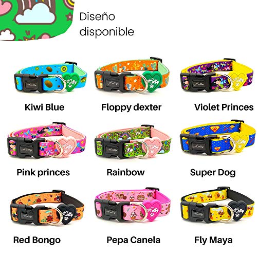 Holly Mascotas Collar Para Perro Acolchado, Suave Acogedor, Collar de Perro con Neopreno Transpirable para Perros Pequeños Medianos y Grandes, Collares Ligeros Premium de Entrenamiento al Aire Libre