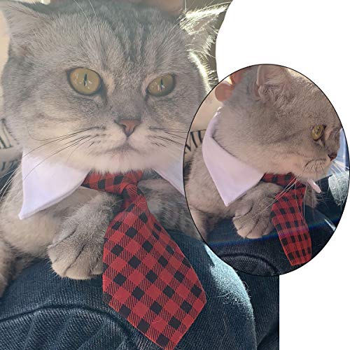 HRP Corbata Formal del Gato Perro Perrito Gatito Ajustable para Mascotas (L, Grid-Dark Red)