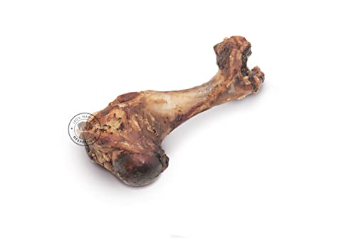 Hueso para Perros - Húmero de Cerdo para Perros - 2,5 kg - 10 Unidades - 100% Carne de Cerdo - Sin OGM - Encías Saludables - 100% Natural - Fabricado en España -GESPETFOOD