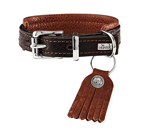 HUNTER Cody Comfort - Collar para Perro de Piel, rústico, Talla 35 (XS-S), Color marrón Oscuro y coñac