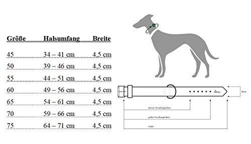 Hunter - Collar Neoprene Reflect Cuello 49-56 Cm 45 Mm Marrón