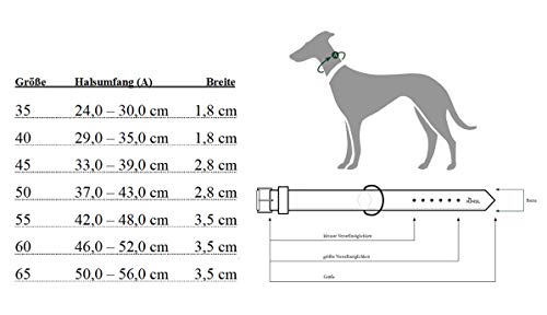 HUNTER Roling Hills - Collar para Perro de Piel Nobuck Resistente, Terciopelo, 65 L, Color marrón Oscuro