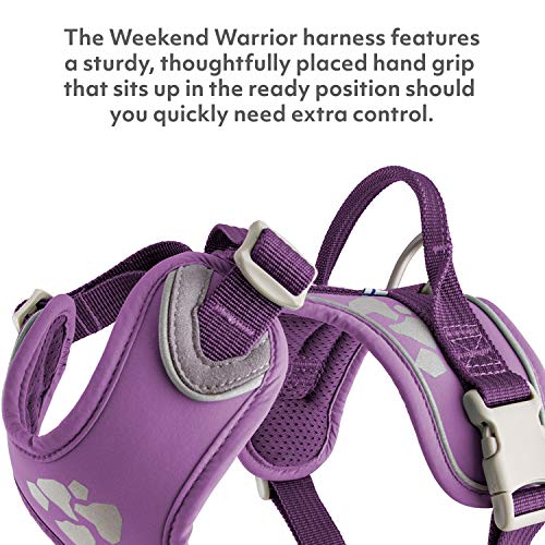 Hurtta Weekend Warrior arnés para perro, grosella, 45,7-60,9 cm