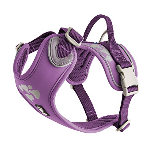 Hurtta Weekend Warrior arnés para perro, grosella, 45,7-60,9 cm