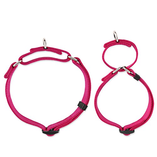 Hyhug Collar de Perro Grande para niños y niñas Stingdy Martingale Resistente a la Fuga - Uso Diario para Caminar (Grande L, Rosa roja)