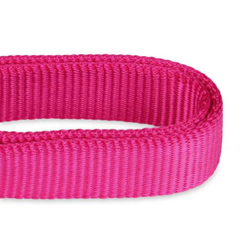 Hyhug Collar de Perro Grande para niños y niñas Stingdy Martingale Resistente a la Fuga - Uso Diario para Caminar (Grande L, Rosa roja)