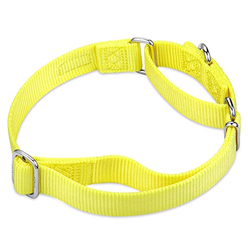 Hyhug Premium actualizado Cuello de Perro Martingale antivaho de Nylon Resistente para Perros Grandes, pequeños, medianos, pequeños y pequeños (Grande L, Amarillo Iluminado)