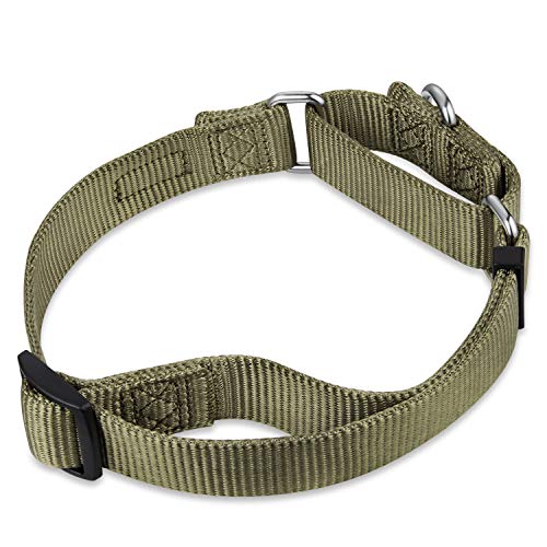 Hyhug Premium actualizado Cuello de Perro Martingale antivaho de Nylon Resistente para Perros Grandes, pequeños, medianos, pequeños y pequeños (Medio M, Verde Militar)