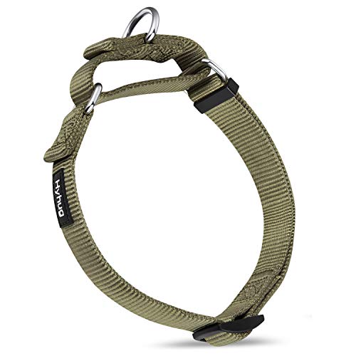 Hyhug Premium actualizado Cuello de Perro Martingale antivaho de Nylon Resistente para Perros Grandes, pequeños, medianos, pequeños y pequeños (Medio M, Verde Militar)