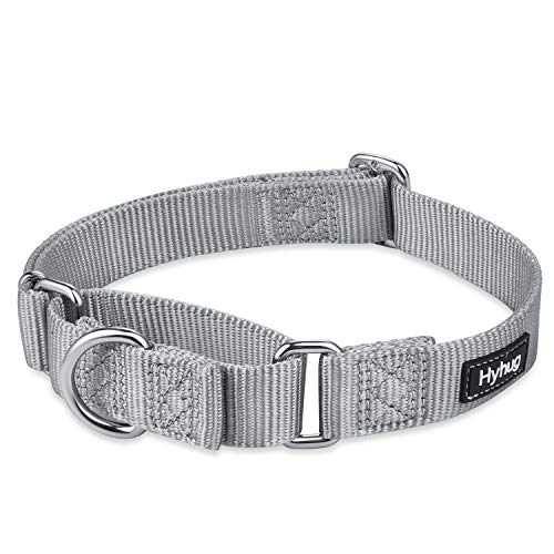 Hyhug Premium actualizado Cuello de Perro Martingale antivaho de Nylon Resistente para Perros Grandes, pequeños, medianos, pequeños y pequeños (Medio M, Gris aguanieve)