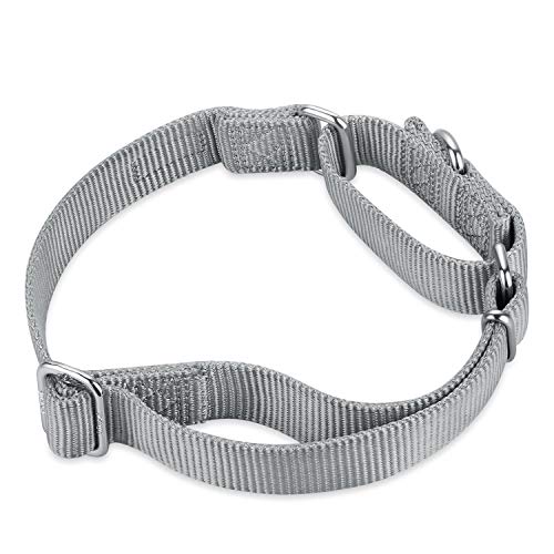 Hyhug Premium actualizado Cuello de Perro Martingale antivaho de Nylon Resistente para Perros Grandes, pequeños, medianos, pequeños y pequeños (Medio M, Gris aguanieve)