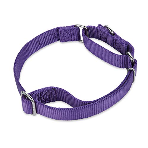 Hyhug Premium actualizado Cuello de Perro Martingale antivaho de Nylon Resistente para Perros Grandes, pequeños, medianos, pequeños y pequeños (Pequeño S, Ultra Violeta)