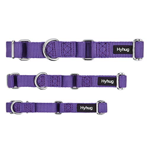 Hyhug Premium actualizado Cuello de Perro Martingale antivaho de Nylon Resistente para Perros Grandes, pequeños, medianos, pequeños y pequeños (Pequeño S, Ultra Violeta)