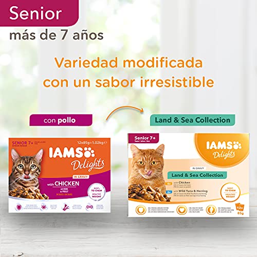 IAMS Delights Land & Sea Collection Alimento húmedo en salsa, para gatos de edad avanzada con diversos sabores a carne y pescado, 12 x 85 g