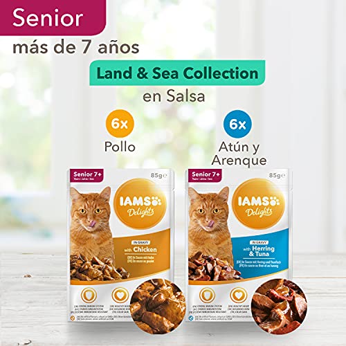 IAMS Delights Land & Sea Collection Alimento húmedo en salsa, para gatos de edad avanzada con diversos sabores a carne y pescado, 12 x 85 g