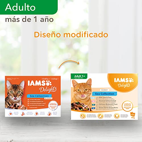 IAMS Delights Sea Collection Alimento húmedo en salsa - para gatos adultos con diversos sabores a pescado 12 x85g