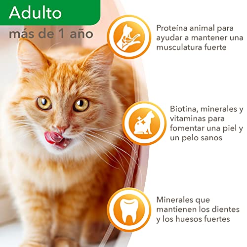 IAMS Delights Sea Collection Alimento húmedo en salsa - para gatos adultos con diversos sabores a pescado 12 x85g