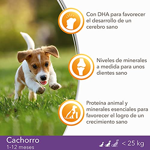 IAMS for Vitality Alimento seco para cachorros (1-12 meses) de raza pequeña y mediana con pollo fresco, 12 kg