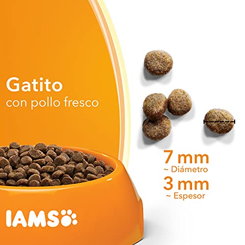 IAMS for Vitality Alimento seco para gatitos con pollo fresco (1-12 meses), 10 kg