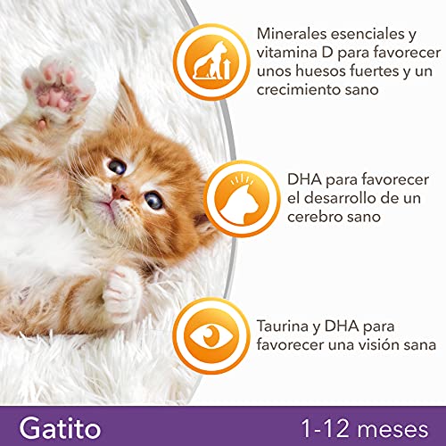 IAMS for Vitality Alimento seco para gatitos con pollo fresco (1-12 meses), 10 kg