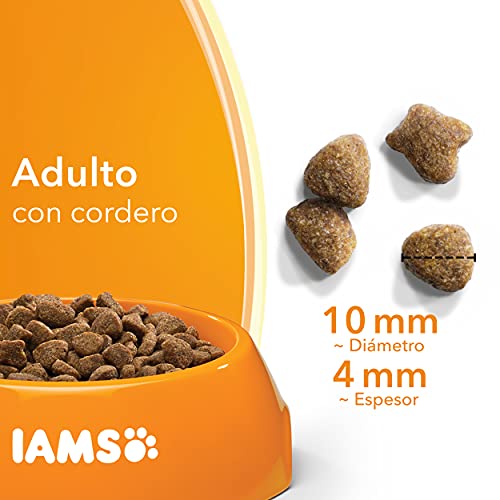 IAMS for Vitality Alimento seco para gatos adultos con cordero (1-6 años), 3 kg