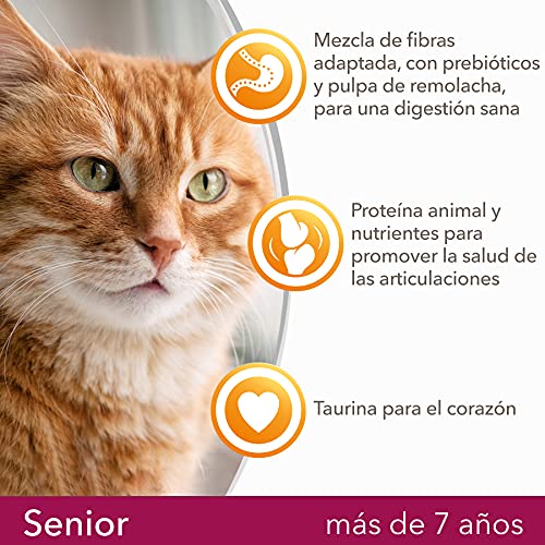 IAMS for Vitality Alimento seco para gatos de edad avanzada con pollo fresco (más de 7 años), 1,5 kg