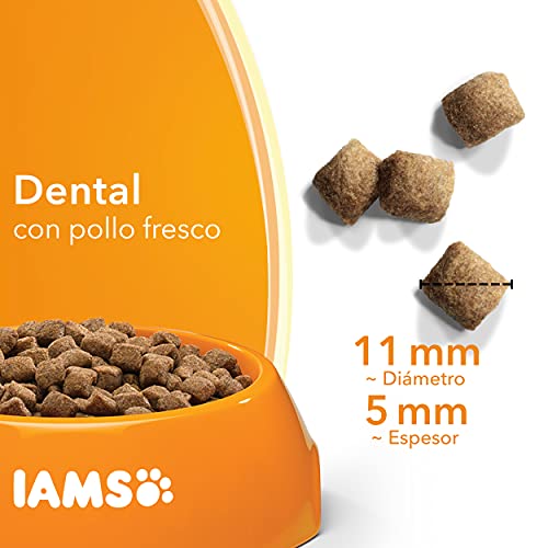 IAMS for Vitality Dental - Alimento seco para gatos adultos y de edad avanzada (más de 1 año) con pollo fresco, 3 kg