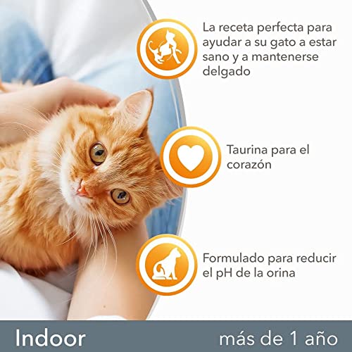 IAMS for Vitality Indoor - Alimento seco para gatos adultos y de edad avanzada (más de 1 año) con pollo fresco, 3 kg