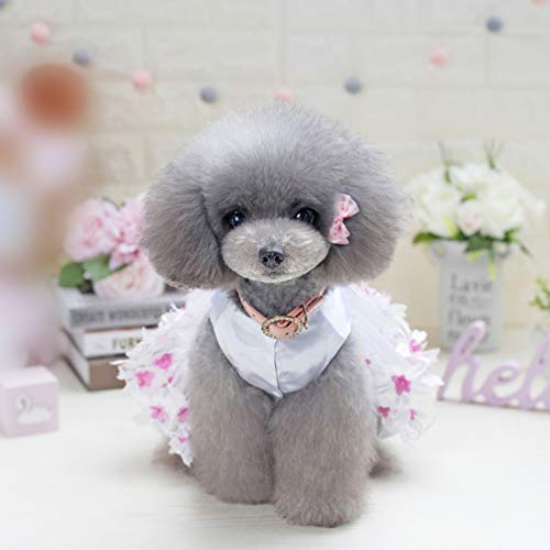 ibasenice Vestido para Mascotas Bonito Transpirable Bowknot Floral Mullido Encaje Falda Vestido de Princesa Primavera Verano Ropa para Mascotas Chaleco para Perro Mascota Cachorro Peluche