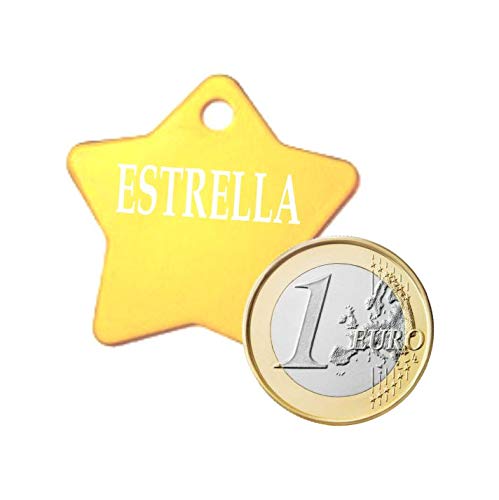 Iberiagifts - Placa de identificación en Forma de Estrella para Mascotas Medianas-Grandes Chapa Medalla de identificación Personalizada para Collar Perro Gato Mascota grabada (Plateado)