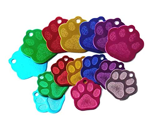 Iberiagifts - Placa en Forma de Huella para Mascotas pequeñas-Medianas Chapa Medalla de identificación Personalizada para Collar Perro Gato Mascota grabada (Plateado)