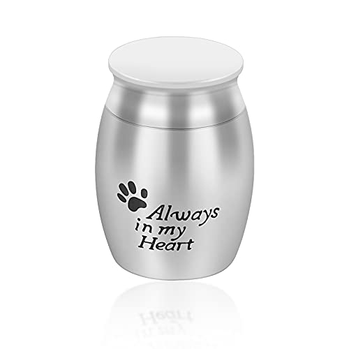 icyant Urna para mascotas, pequeña cremación, urnas para perros, cenizas pequeñas y pequeñas para mascotas, urna de recuerdo,urna de acero inoxidable, urnas conmemorativas para perros, gatos y cenizas