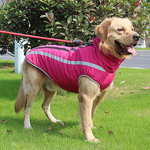 Idepet Abrigo Impermeable para Perros Chaqueta cálida de Invierno,Ropa para Mascotas a Prueba Viento Chaqueta para Perros Traje para Perros pequeños medianos Grandes con Orificio para el arnés XL-6XL