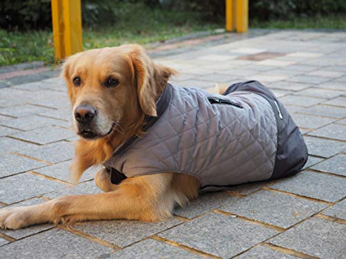 Idepet Abrigo para Perro A Prueba De Viento Chaqueta Cálida De Invierno, Ropa para Perros con Traje De Nieve Anti-Nieve para Perros Pequeños Medianos Grandes con Agujero De Arnés Azul Rosa Gris