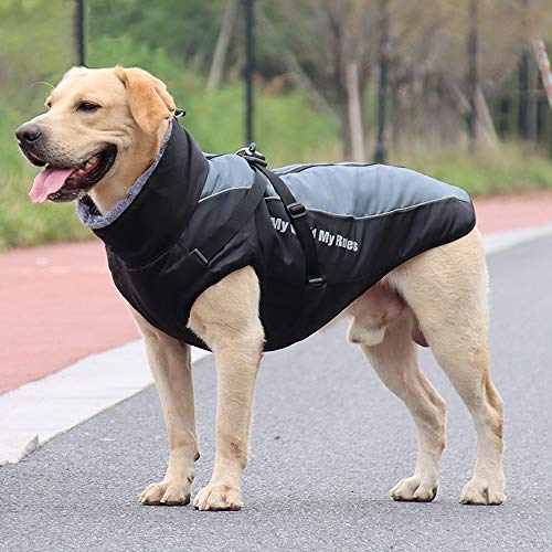 Idepet Abrigo para Perros Chaqueta cálida, Traje de Nieve Reflectante para Mascotas Deportes al Aire Libre Ropa Impermeable para Perros Chaleco para Perros Mediano Grande con Orificio para el arnés