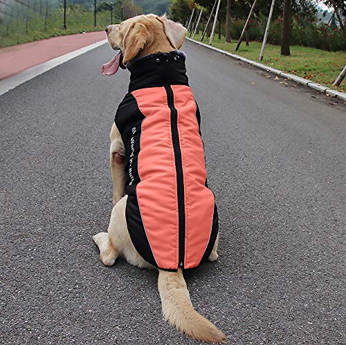 Idepet Abrigo para Perros Chaqueta cálida, Traje de Nieve Reflectante para Mascotas Deportes al Aire Libre Ropa Impermeable para Perros Chaleco para Perros Mediano Grande con Orificio para el arnés