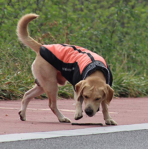 Idepet Abrigo para Perros Chaqueta cálida, Traje de Nieve Reflectante para Mascotas Deportes al Aire Libre Ropa Impermeable para Perros Chaleco para Perros Mediano Grande con Orificio para el arnés