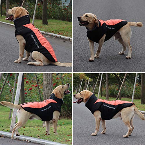 Idepet Abrigo para Perros Chaqueta cálida, Traje de Nieve Reflectante para Mascotas Deportes al Aire Libre Ropa Impermeable para Perros Chaleco para Perros Mediano Grande con Orificio para el arnés