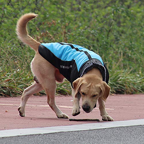 Idepet Abrigo para Perros Chaqueta cálida, Traje de Nieve Reflectante para Mascotas Deportes al Aire Libre Ropa Impermeable para Perros Chaleco para Perros Mediano Grande con Orificio para el arnés