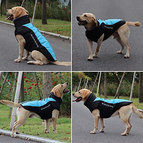 Idepet Abrigo para Perros Chaqueta cálida, Traje de Nieve Reflectante para Mascotas Deportes al Aire Libre Ropa Impermeable para Perros Chaleco para Perros Mediano Grande con Orificio para el arnés