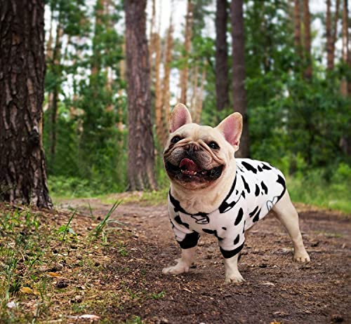 Idepet Abrigos para Perros,Ropa de Gato Abrigo Abrigos de Invierno para Mascotas Sudaderas con Capucha para Perros pequeños y medianos