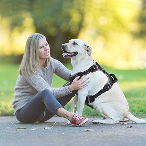 Idepet Arnés para Perros sin tirón con manija Chaleco para arnés Reflectante Ajustable para Mascotas Control fácil para Perros pequeños medianos Grandes Entrenamiento Caminata