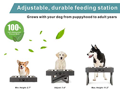 Idepet Cuenco Elevado para Perros, Cuencos para Perros sobre Soportes, Cuencos para Perros de Altura Ajustable con Soporte de alimentación para Perros de 2 Platos